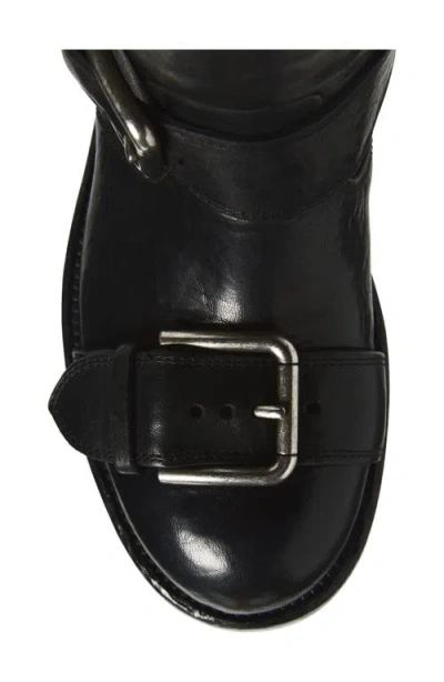 Dolce & Gabbana Saint Laurent Havana Havana Transparent Acetate Glasses In Black