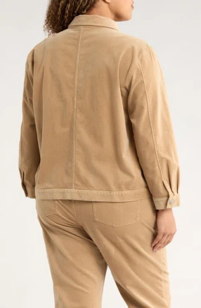 Eileen Fisher Classic Collar Corduroy Jacket In Brown