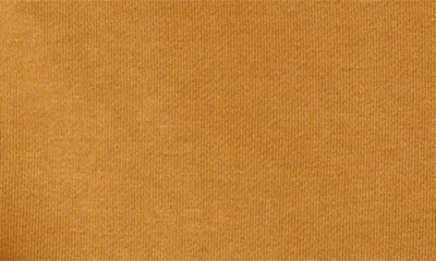 Free Fly Northcoast Zip-up Hoodie In Brown