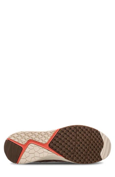 Clae Zuma Sneaker In Multi