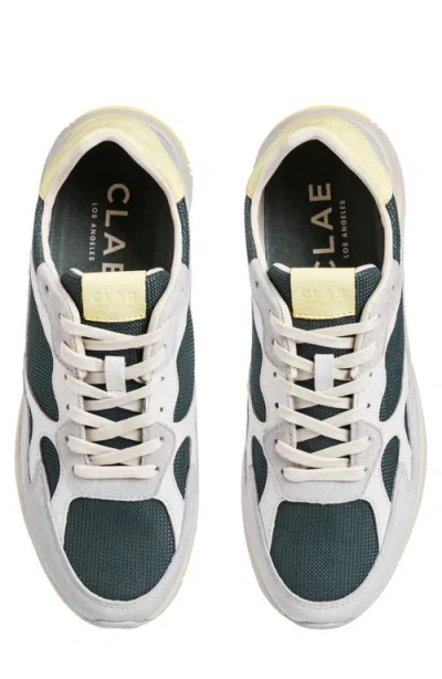 Clae Zuma Sneaker In Multi