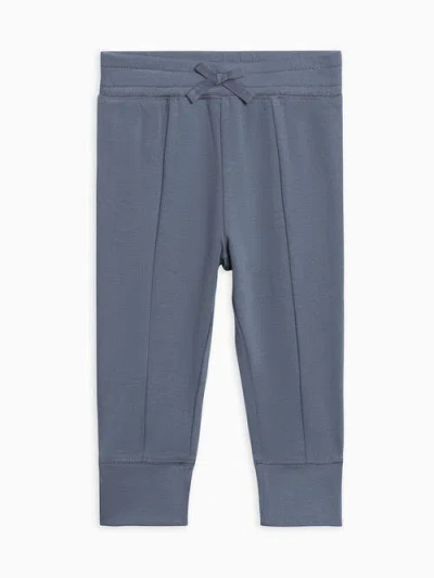 Colored Organics Organic Cotton Ailsa Seamed Joggers In Blue