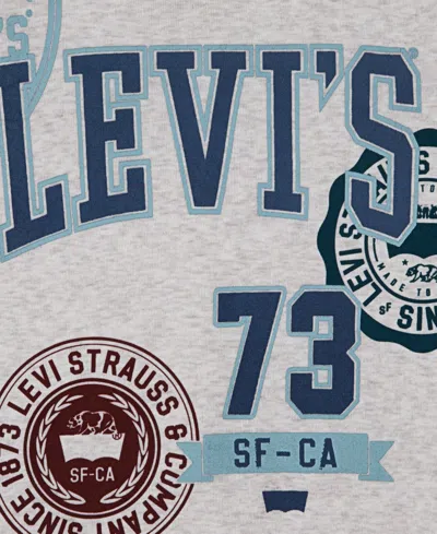 Levi's Boys 4-7 2 Piece Multi Hit Long Sleeves Hoodie And Joggers Set In White