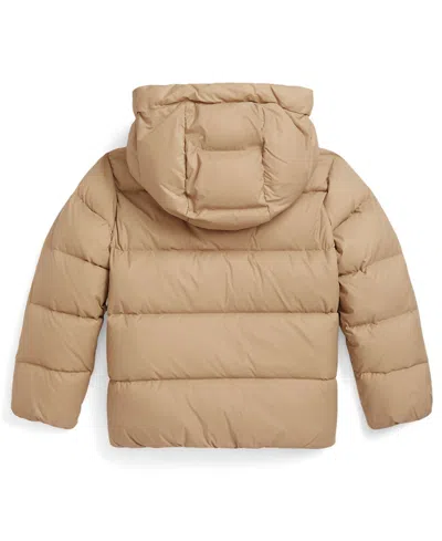 Polo Ralph Lauren Girls 2t-6x Hooded Long Sleeves Jacket In Neutral