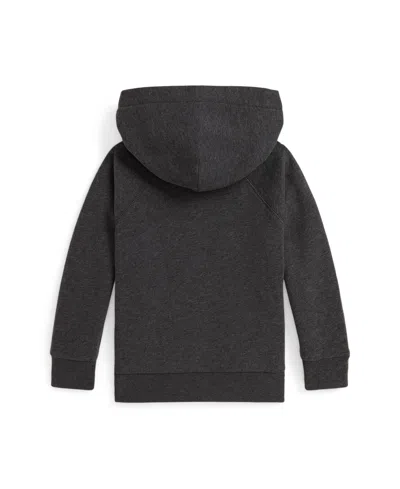 Polo Ralph Lauren Embroidered Equestrian Knight Hoodie In Gray