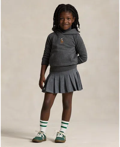 Polo Ralph Lauren Embroidered Equestrian Knight Hoodie In Gray