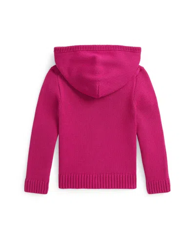 Polo Ralph Lauren Ralph Lauren Big Pony Cotton Hooded Sweater In Pink