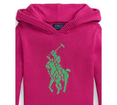 Polo Ralph Lauren Ralph Lauren Big Pony Cotton Hooded Sweater In Pink
