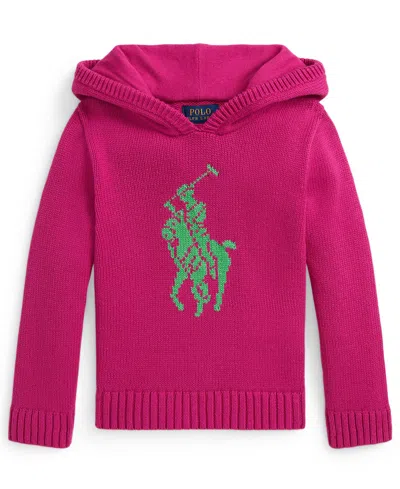 Polo Ralph Lauren Ralph Lauren Big Pony Cotton Hooded Sweater In Pink