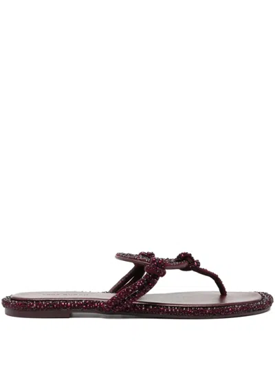 Tory Burch Miller Embellished Medallion Flat Thong Sandals In Burgundy