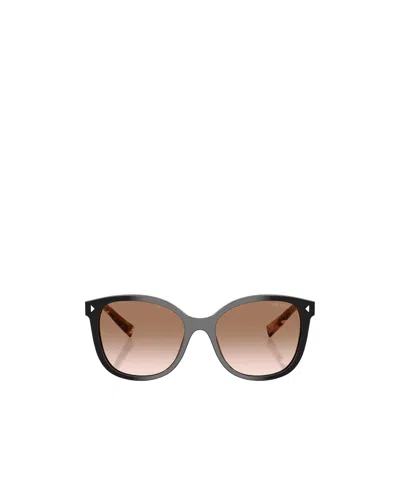 Prada Full Frame Sunglasses In Brown