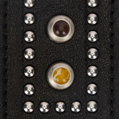 Roberto Cavalli Belt With Stones And Studs In Brown