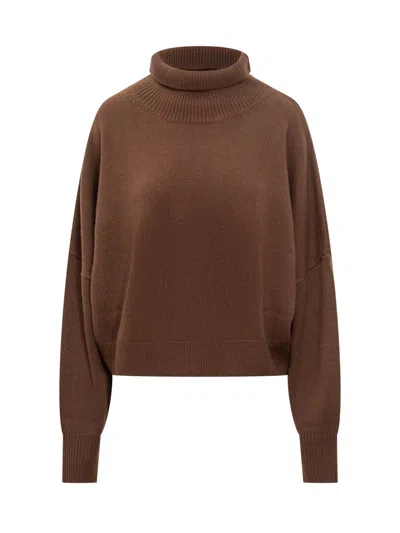 Loulou Studio Brown Turtleneck Sweater In Brown