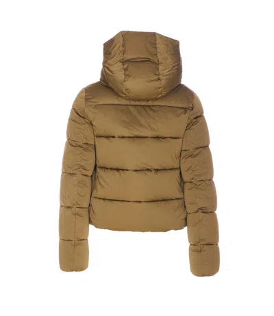 Save The Duck Felicity Removable-hood Padded Jacket In Green