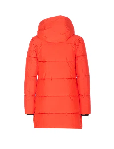 Save The Duck Chaqueta Alcochada - Rojo In Orange