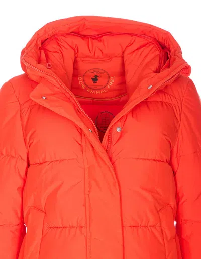 Save The Duck Chaqueta Alcochada - Rojo In Orange
