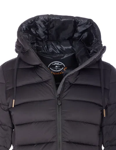 Save The Duck Black Down Jacket With Frontal Zip Closure In Black