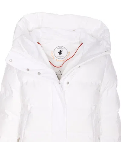 Save The Duck White Down Jacket In Gray