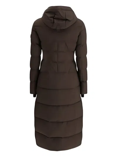 Moose Knuckles Hooded Padded Jocada Parka In Brown