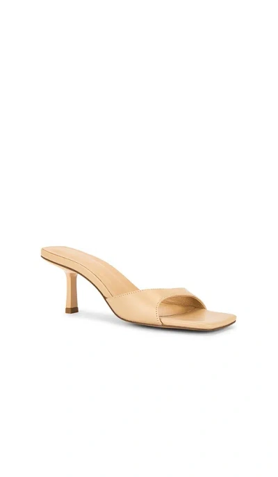 JOCEY MULE Â€“ È£¸È‰². Å°ºÇ � 7 (ALSO Â€“ 10, 5.5, 6, 6.5, 7.5, 8, 8.5, 9, 9.5).