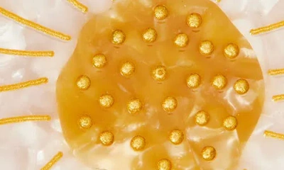 Solar Eclipse Hand Painted Daisy Key Chain Bag Charm In Gold