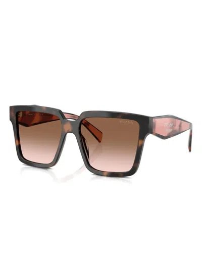 Prada Pr 24zs 23a0a6 56mm Womens Square Sunglasses In Brown