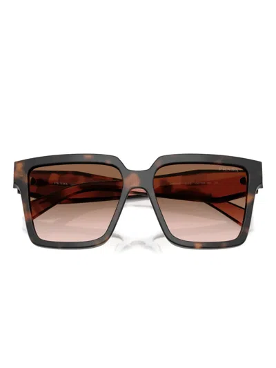 Prada Pr 24zs 23a0a6 56mm Womens Square Sunglasses In Brown