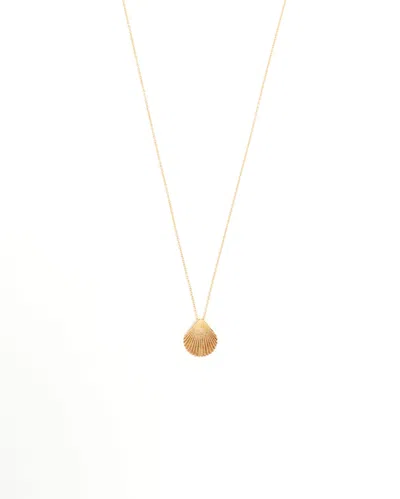 Tiffany & Co Shells Necklace, 18kt Yellow Gold In Gold