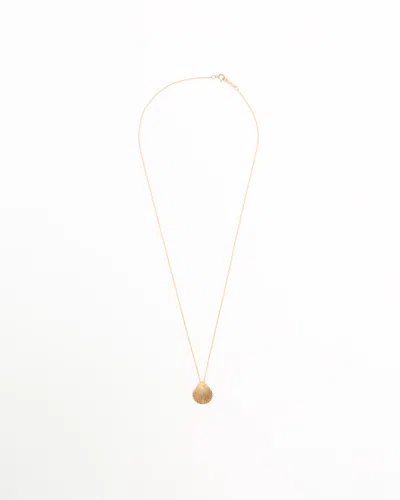 Tiffany & Co Shells Necklace, 18kt Yellow Gold In Gold