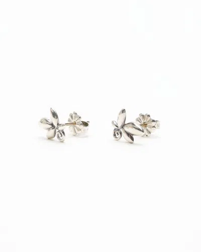 Tiffany & Co Olive Leaf Sliver Earrings In Silver