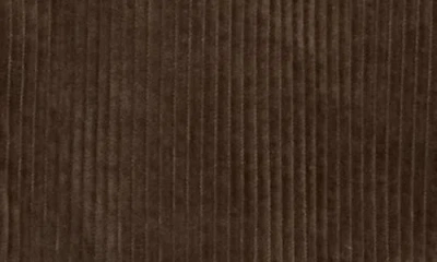 Eileen Fisher Organic Cotton Corduroy Classic Collar Jacket In Brown