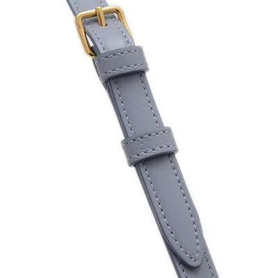 Pre-owned Celine Blue Leather Shoulder Bag ()