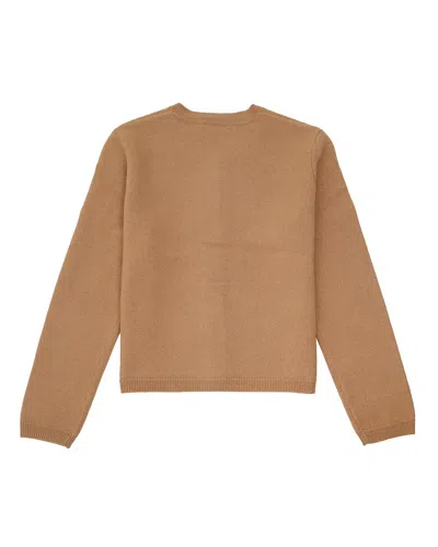 Apc A.p.c. Sweaters Brown In Neutral