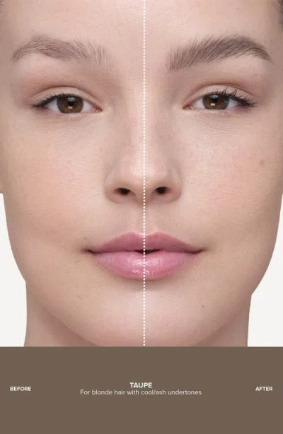 Anastasia Beverly Hills Microstroke Brow Pen In Multi