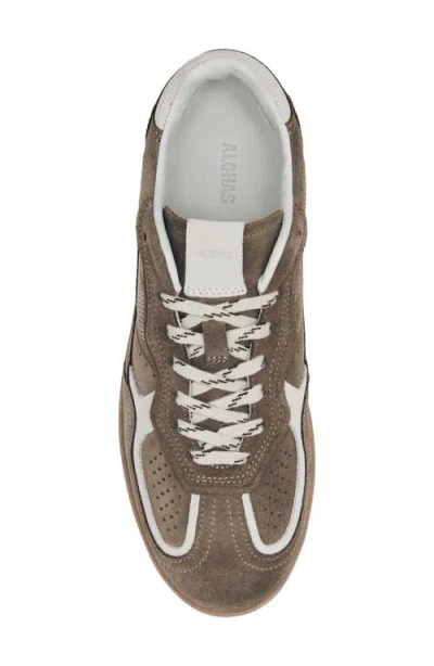 Alohas Tb.490 Rife Taupe Leather Sneakers Shoes In Brown