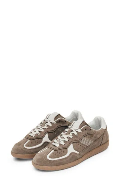 Alohas Tb.490 Rife Taupe Leather Sneakers Shoes In Brown