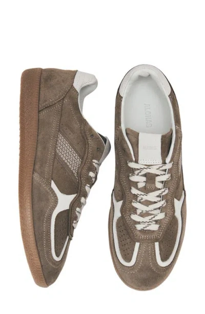 Alohas Tb.490 Rife Taupe Leather Sneakers Shoes In Brown