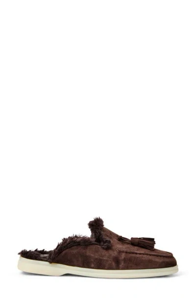 Bruno Magli Palmer Genuine Shearling Lined Mule In Brown