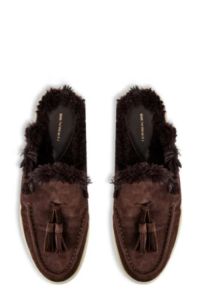 Bruno Magli Palmer Genuine Shearling Lined Mule In Brown