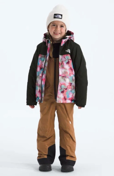The North Face Kids' Freedom Insulated Waterproof Hooded Jacket In Black
