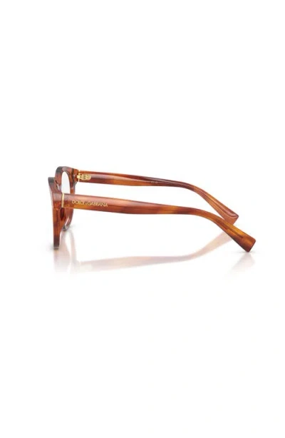 Dolce & Gabbana Full Frame Plain Mirror In Brown