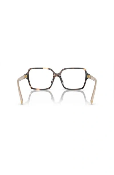 Prada 51mm Rectangle Optical Glasses In Brown