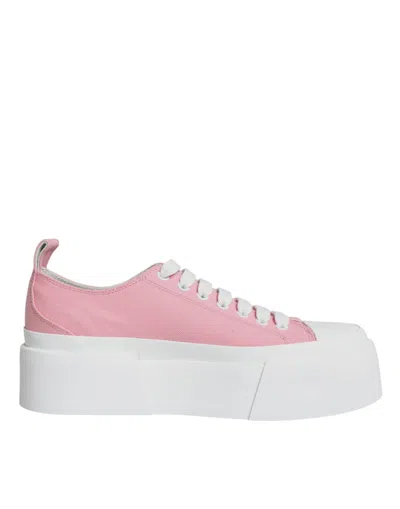 Dolce & Gabbana Pink White Canvas Logo Low Top Sneakers Women's Shoes In Pink