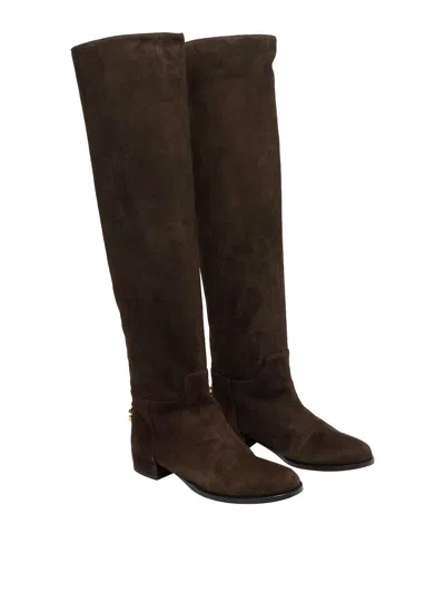 Dolce & Gabbana Over-the-knee Suede Boots Shoes In Brown