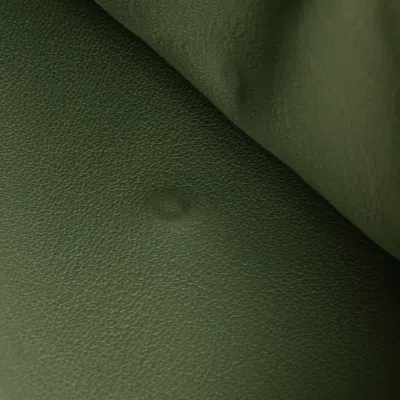 Pre-owned Loewe Green Leather Wallet (tri-fold) ()