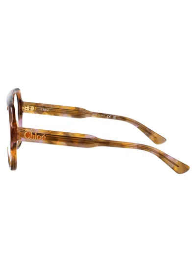 Chloé Havana-havana-transparent Recycled Acetate Glasses In Brown