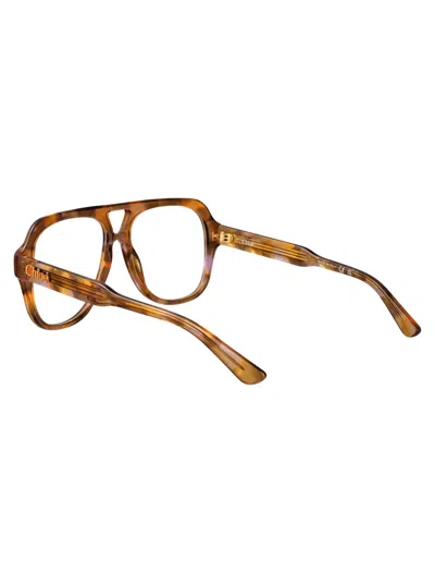 Chloé Havana-havana-transparent Recycled Acetate Glasses In Brown