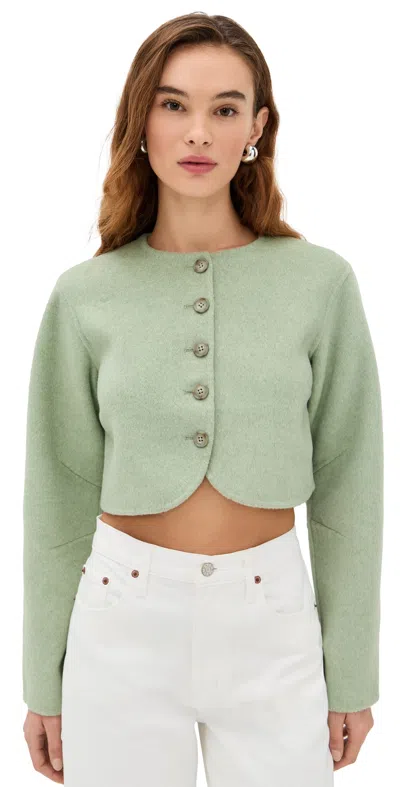 Aligne Angelina Cropped Jacket Mint In Animal Print