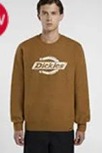 Dickies Sweaters In Brown