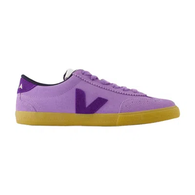 Veja Volley Sneakers In Viola Suede In Purple